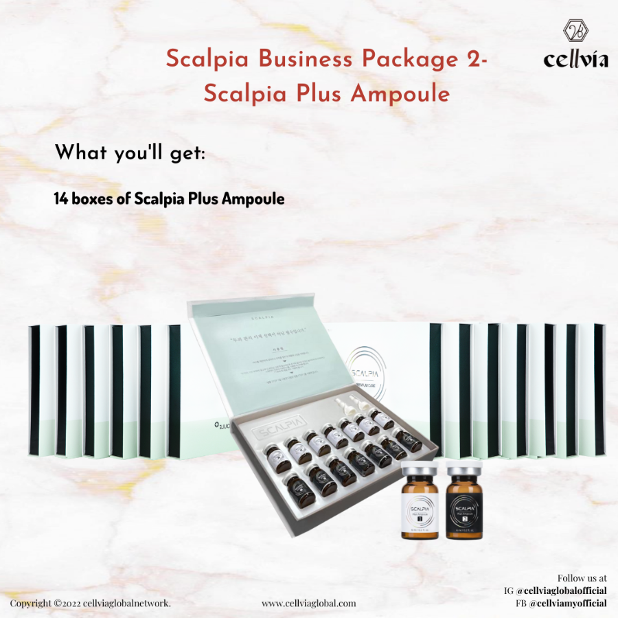 Scalpia Business Package 2
